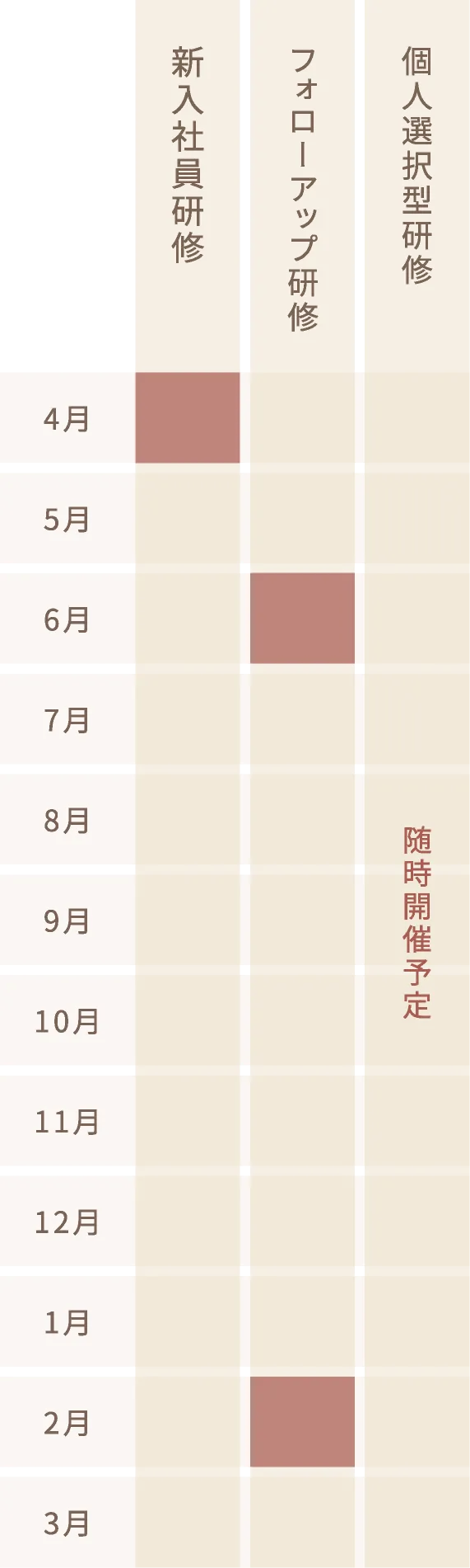 入社一年目の研修制度(予定)